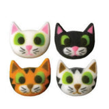 Animals - Kitty